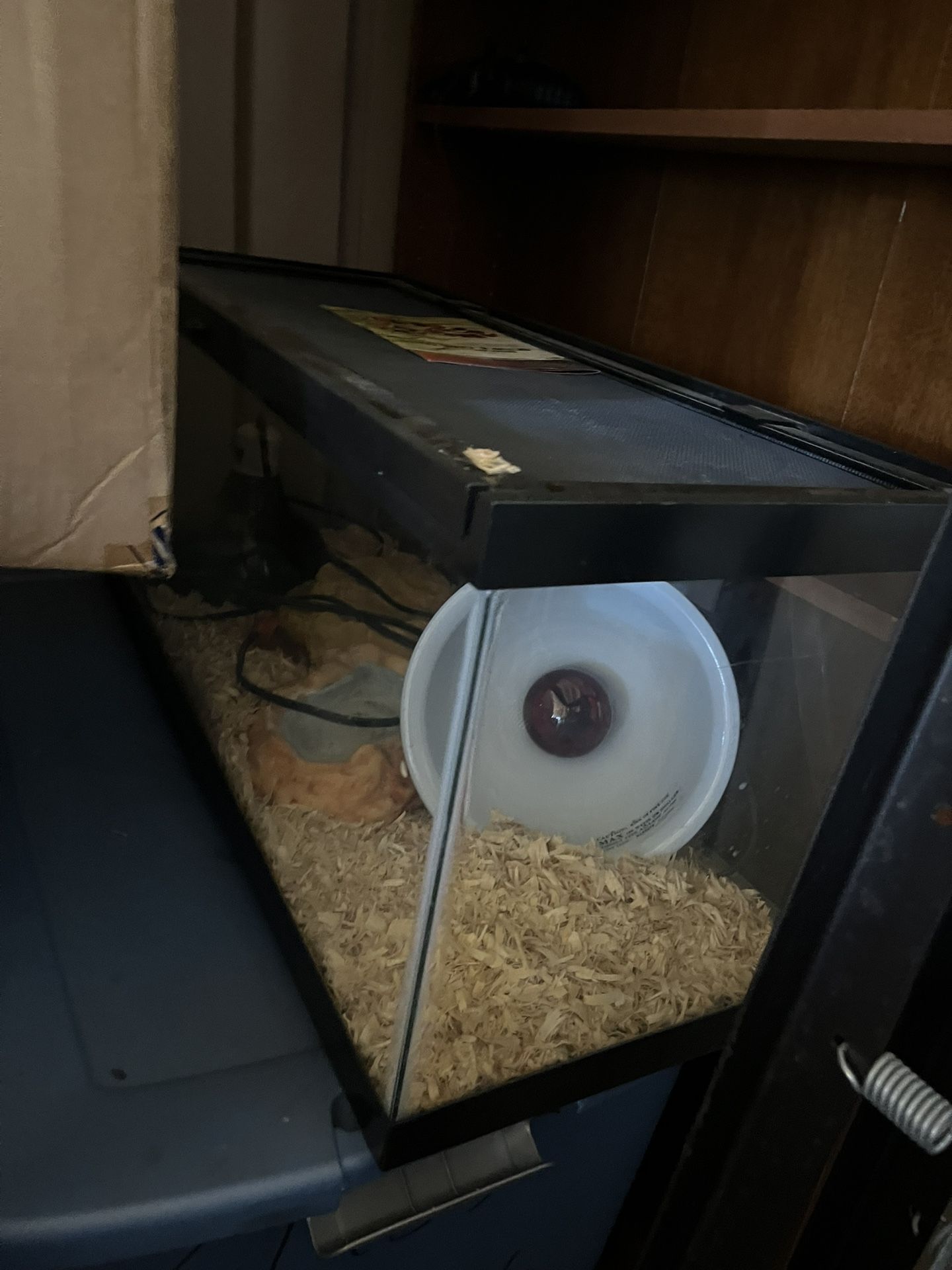 Snake Tank-30 Gallon 