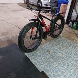Selling My Wife's Small Frame Specialized Fat Boy Bike In Great Condition 