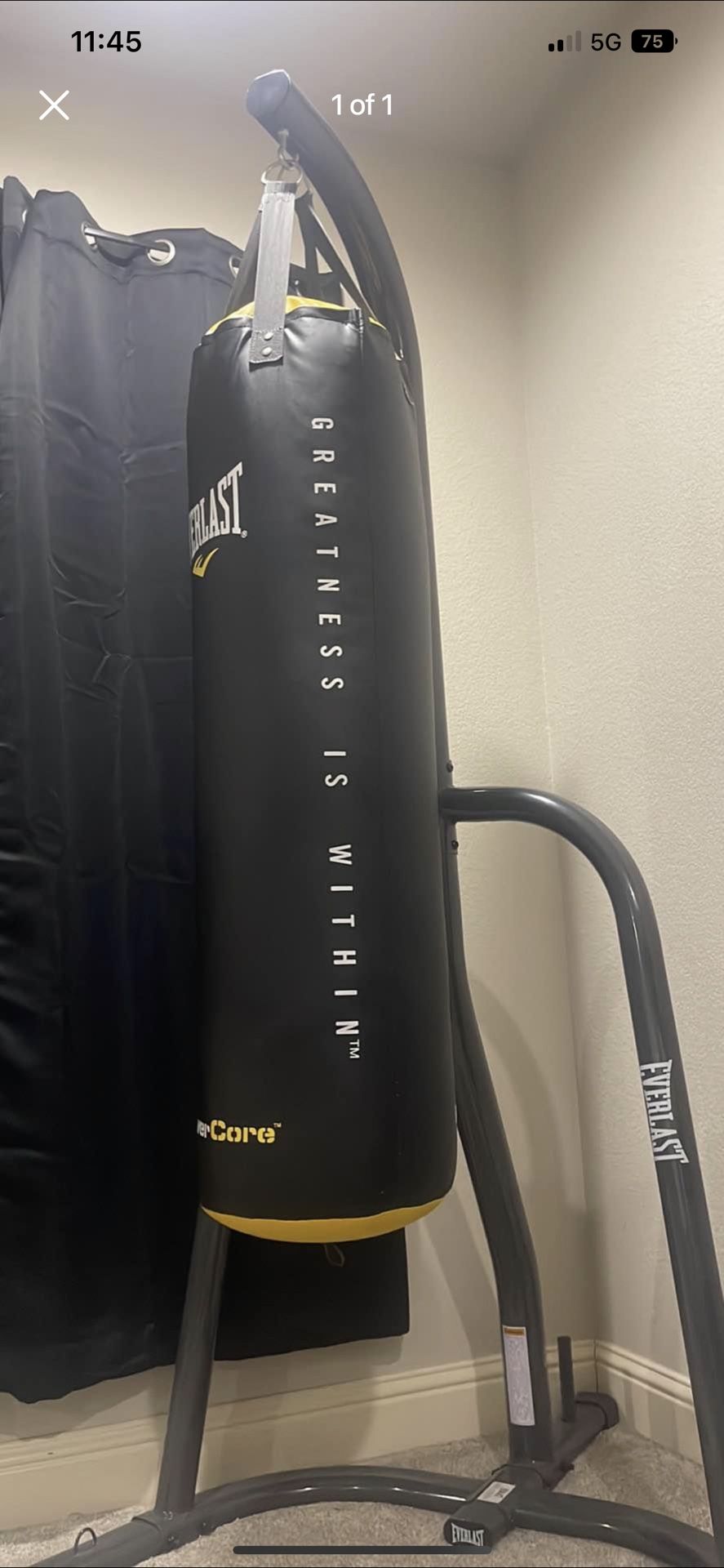 Everlast Punching Bag And Stand
