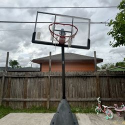 Basketball Hoop 🏀 