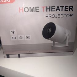 Projector