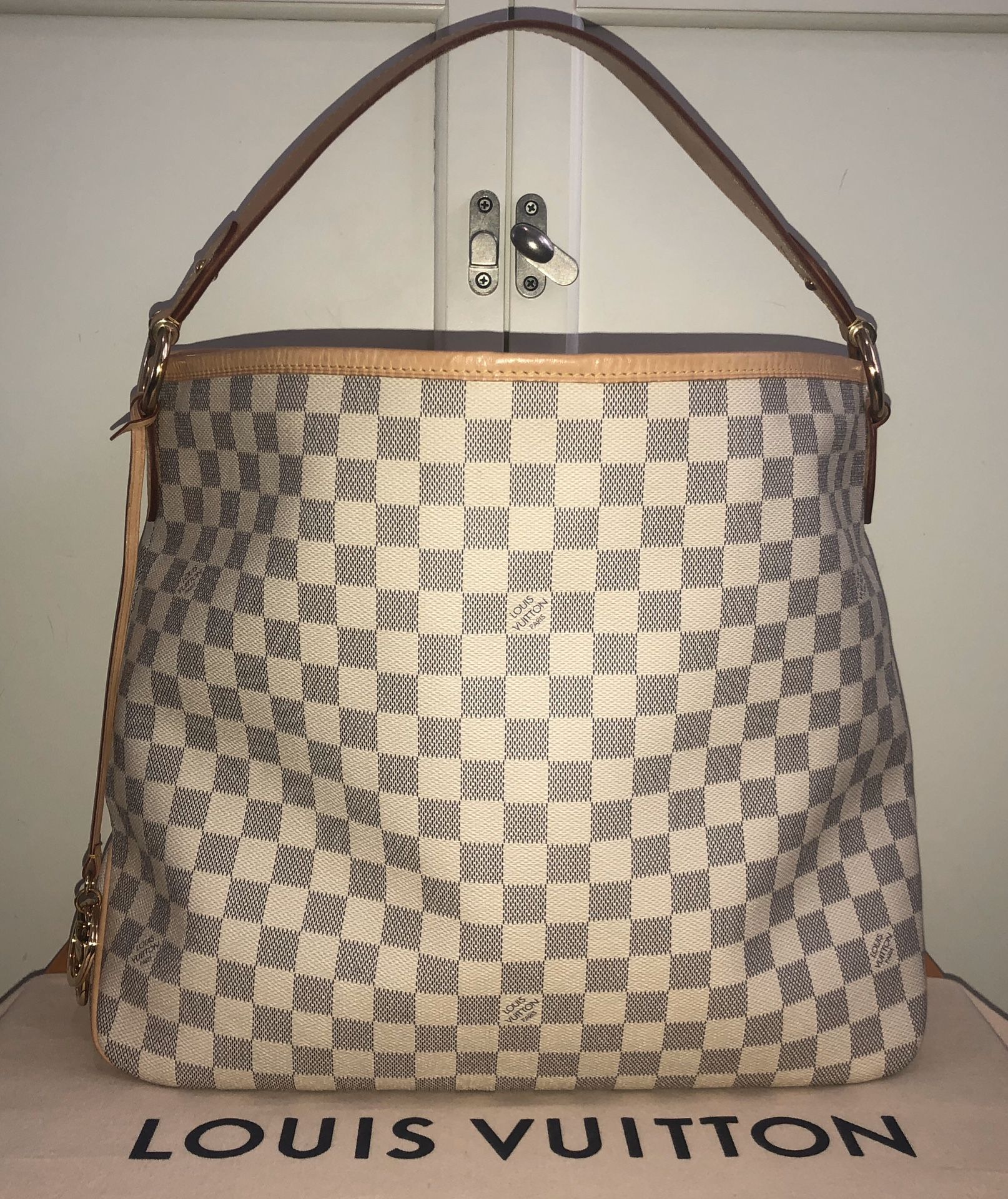 Louis Vuitton Delightful MM bag