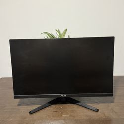 24 Inch Asus Monitor 