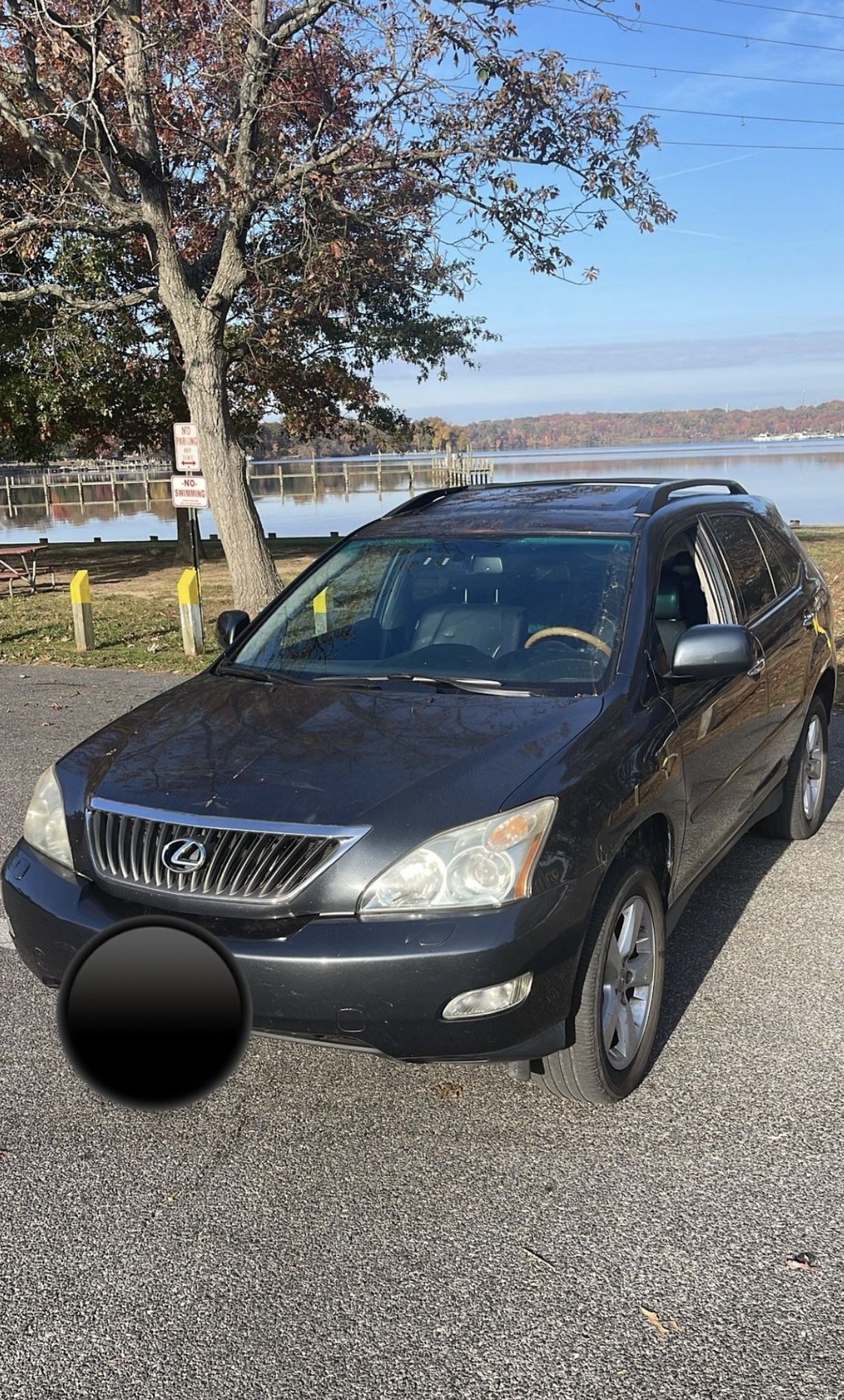 2008 Lexus Rx 350