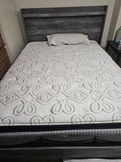 Queen Mattress