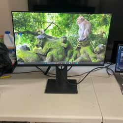 (24 Inch) Dell Monitor 1080p 