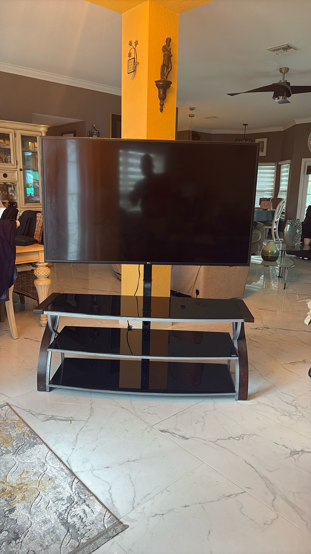 Television With Stand 