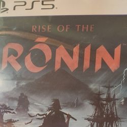 Rise Of The Ronin (Unused DLC)