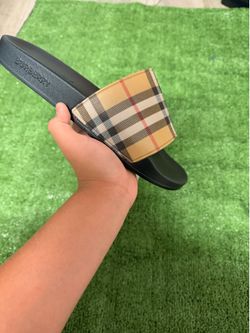 Blueberry slides