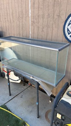 Reptile cage