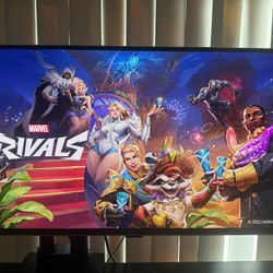 Gaming monitor