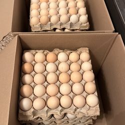 Organic Pasture Raised Eggs
