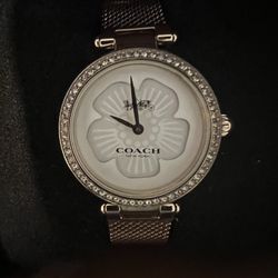 New Coach Watch