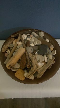 Beach Collection Driftwood Shells and Stones