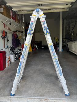 Pro Werner 375lb Ladder