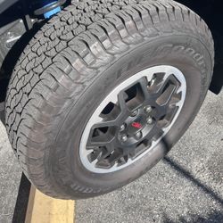 2025 OEM Toyota Tacoma TRD 