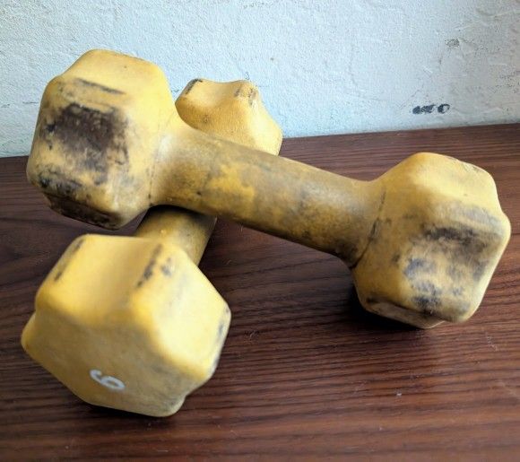 pair of 6 pound hand weights dumbbells (set of two)