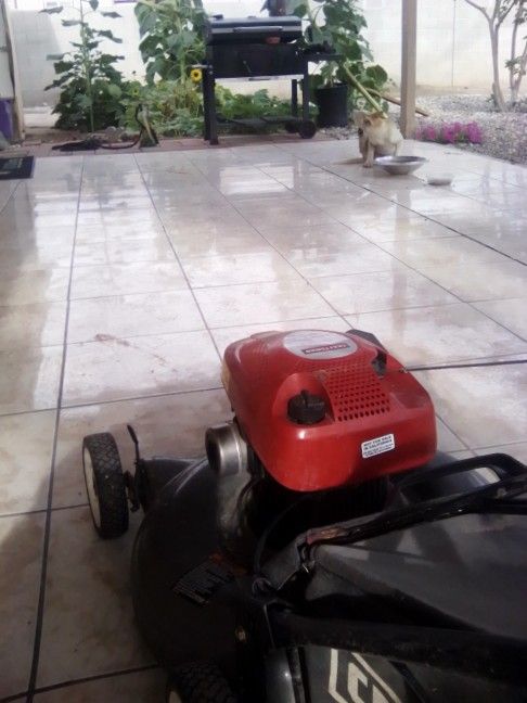 Craftsman's Briggs Stratton 550 Series Silver Edition 158cc 21 Inch Cut