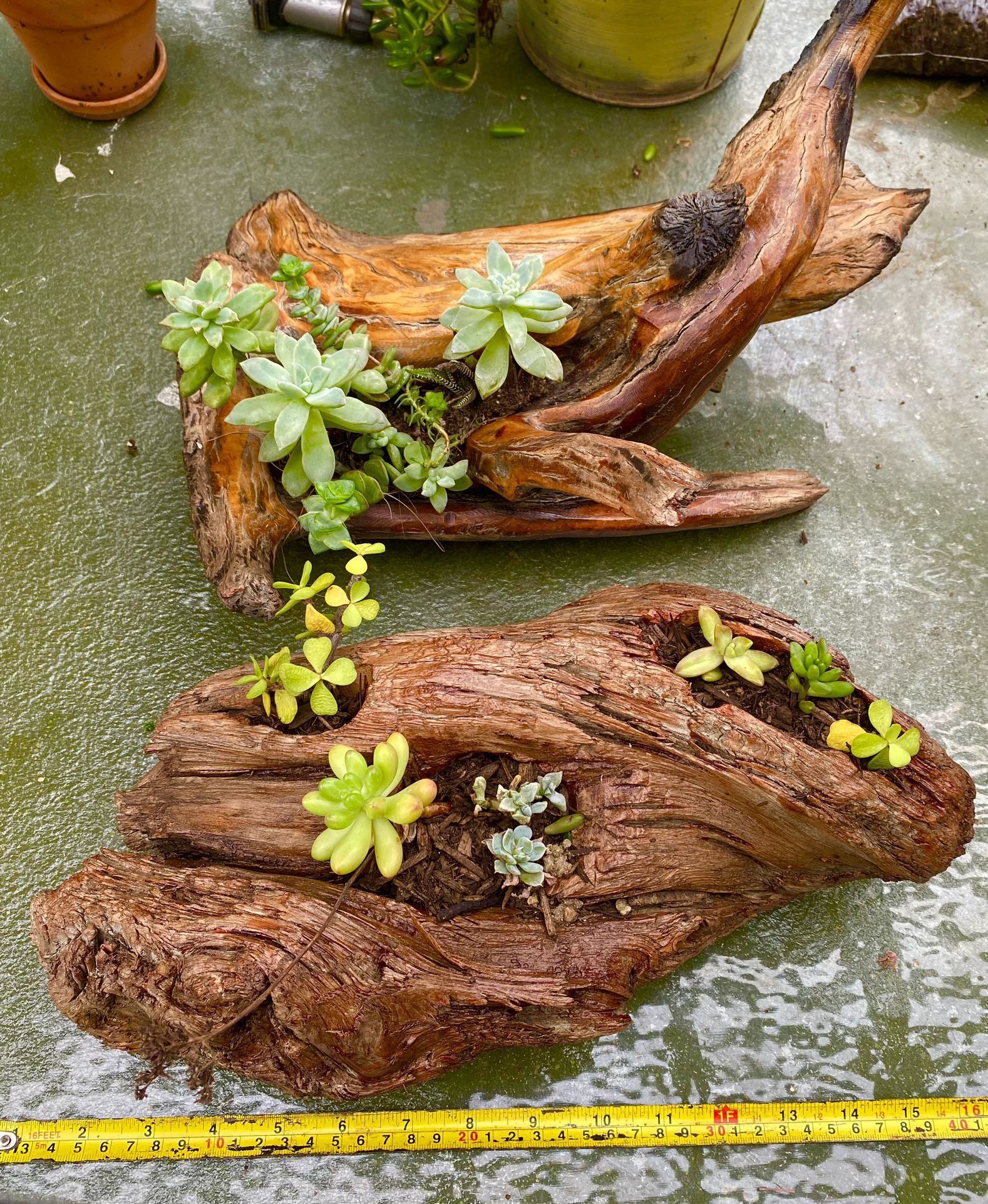 Driftwood Table Planters Includes Plants