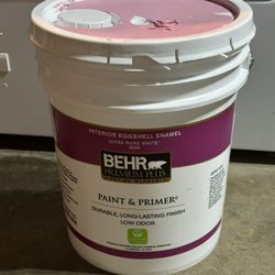 BEHR PREMIUM PLUS 5 gallon Eggshell Interior Paint & Primer pink pintura rosita