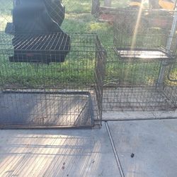 Dog Kennel 