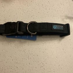 Waterproof Small Dog Collar 