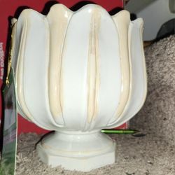 Tulip Shaped Flower Pots