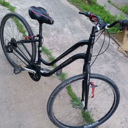 Treck Bicycle 