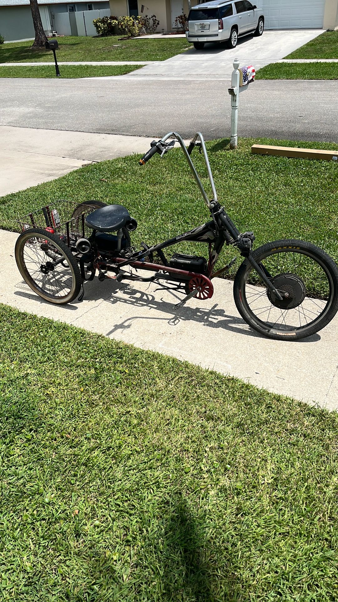 3 Wheel Electric Bike.