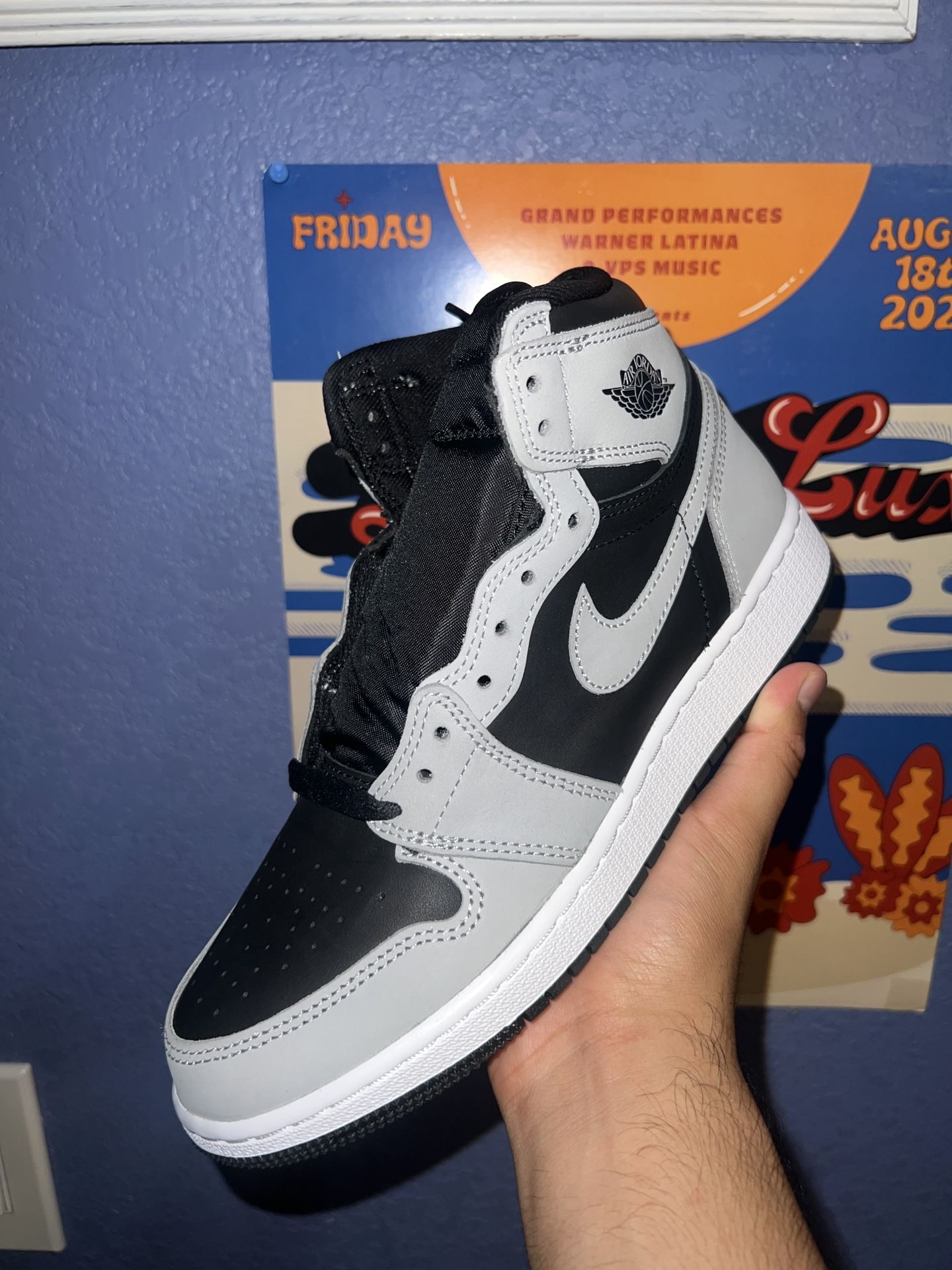 Jordan 1 Shadow 2.0