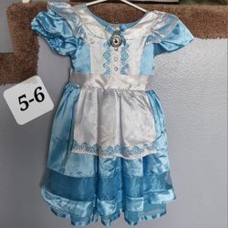 Disney  Alice In Wonderland Costume 