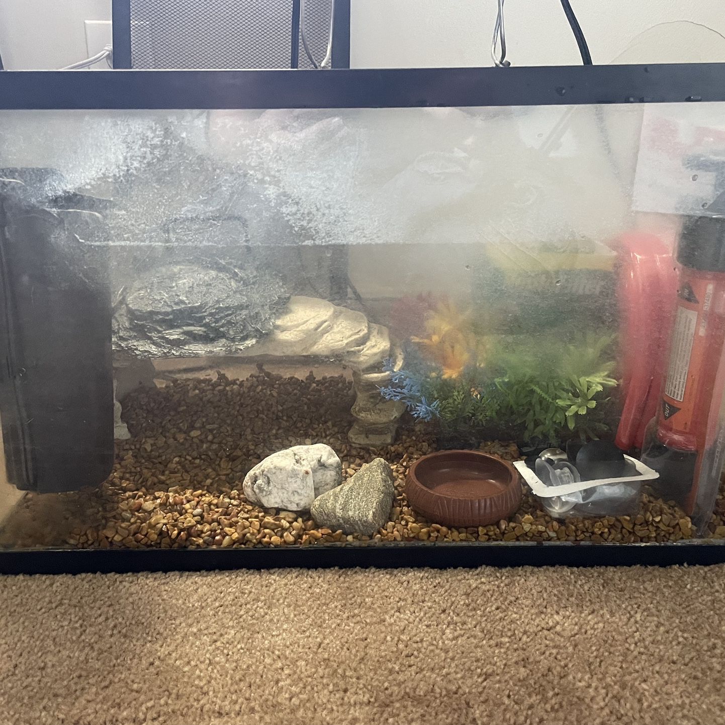 10 gallon fish tank with equipment 