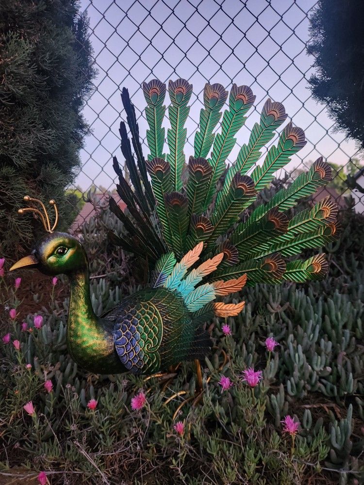 24" H, Metal Peacock Statue With Embossed Feathers Garden Decor