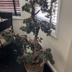 Faux Bonsai Tree 