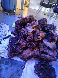 Live reef rock