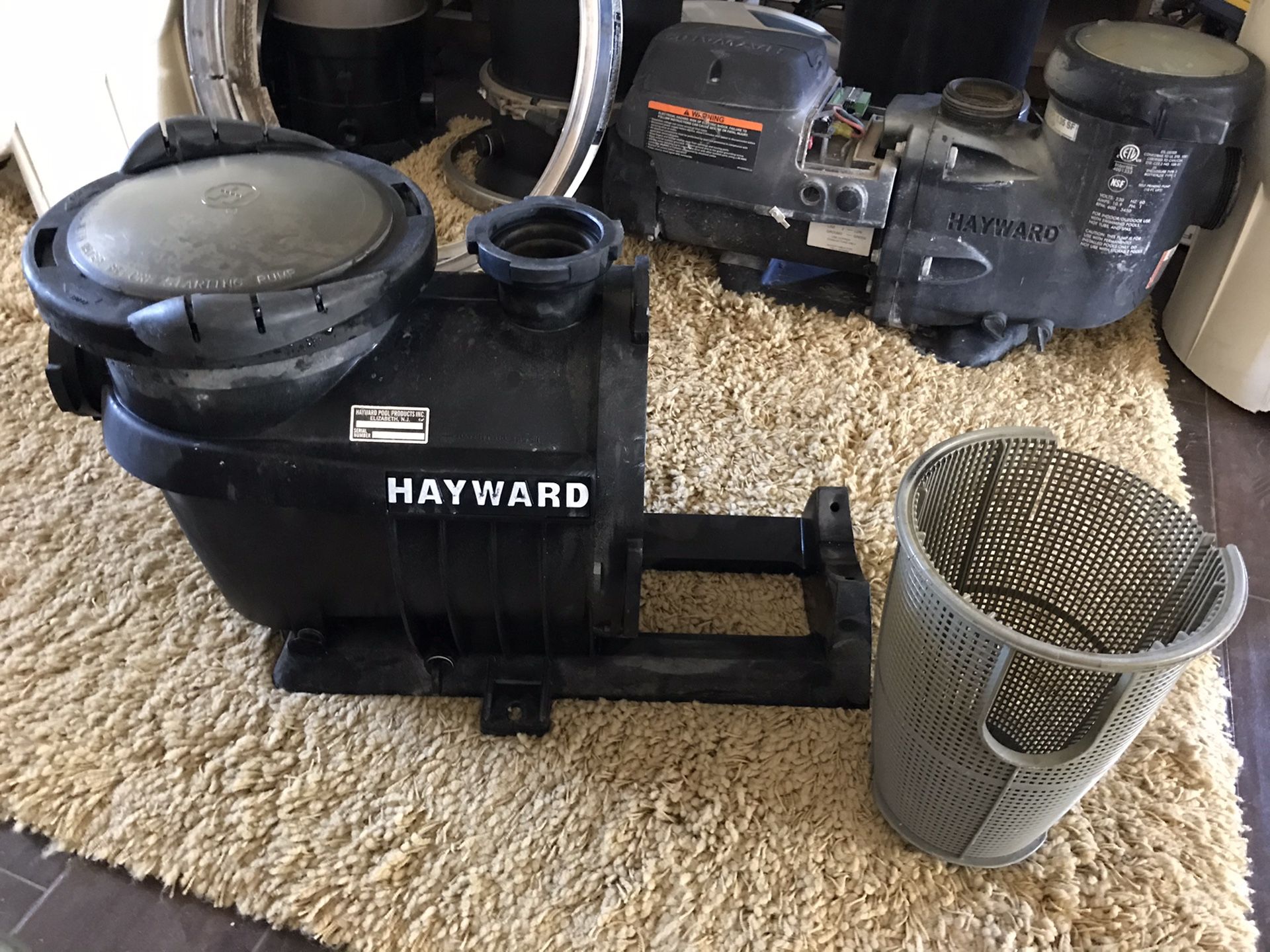 HAYWARD POOL HOUSING WITH BASKET AND COVER LID - EXCELLENT CONDITION ($29) OBO