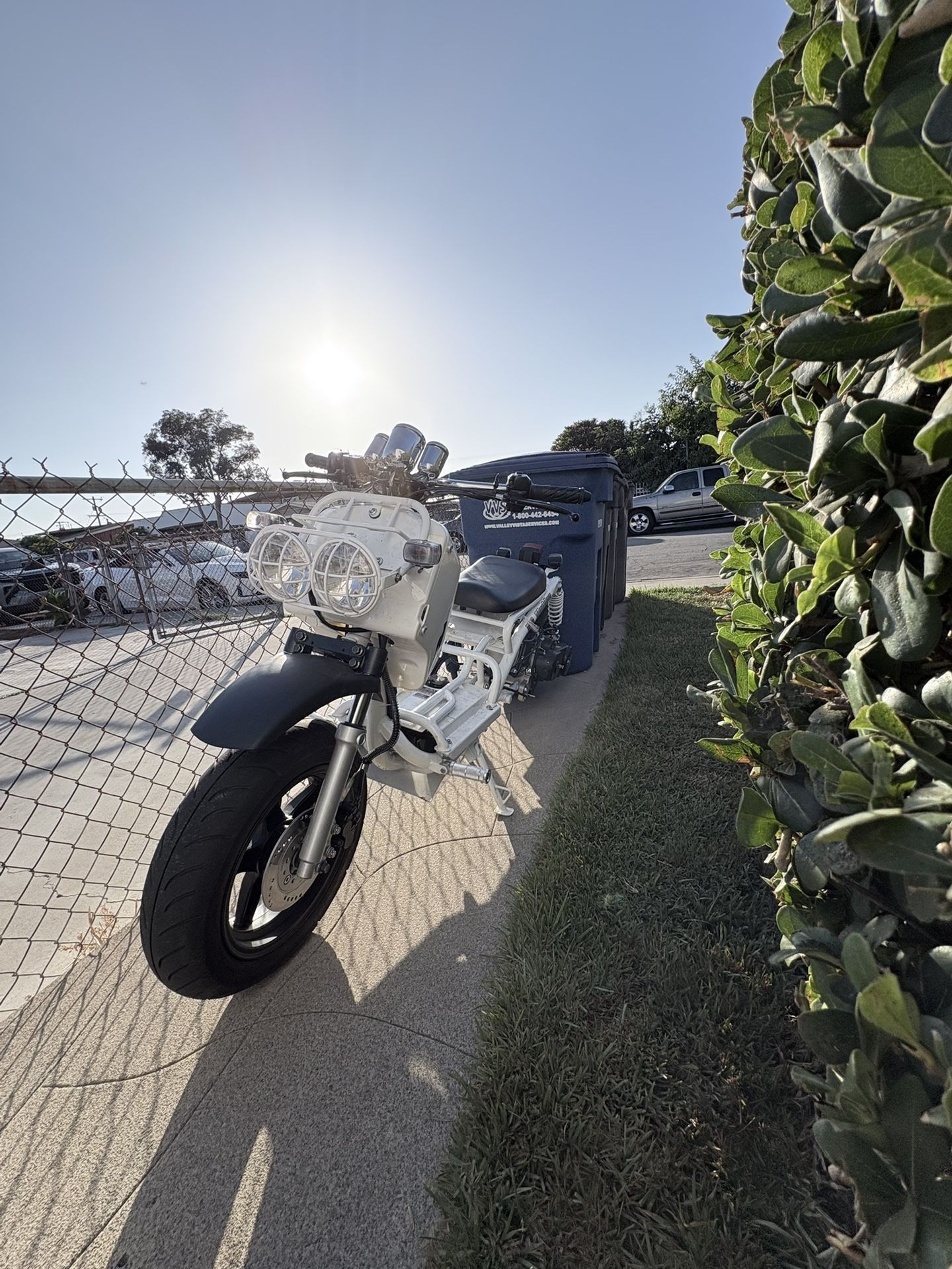 2022 Maddogg Ruckus Clone.