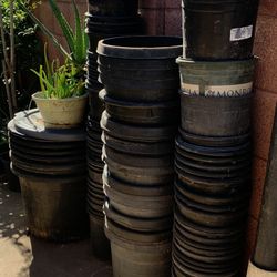 Black Plants Buckets Potts For Sale Plastic Containers Plantas