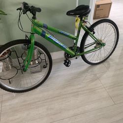 Fuji Bike