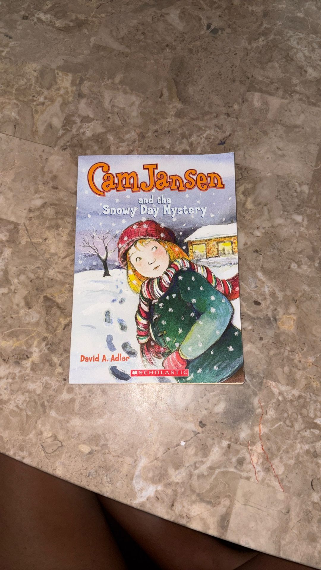 CamJanSen and the Snowy Day Mystery