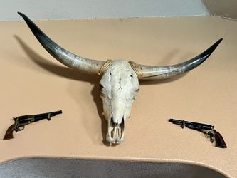 Longhorns decor