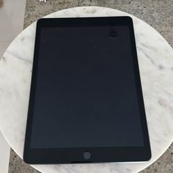 iPad 9th Generation 256 Gb Cell And Wifi Mint Condition