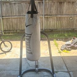 Punching Bag 