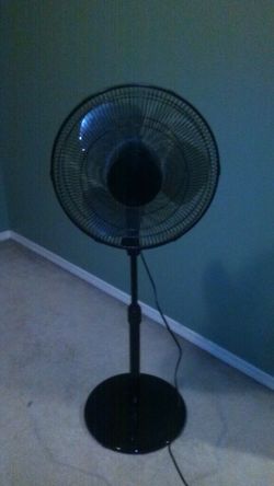 Fan
