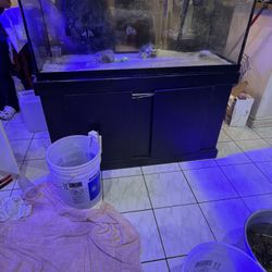 Aquarium tank 75 Gallons