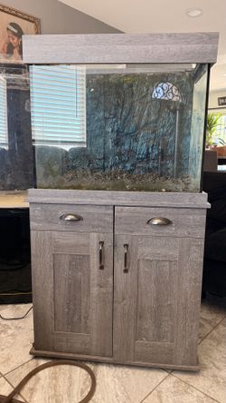 Fish tank