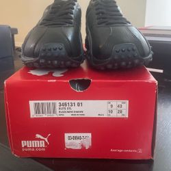 Black Puma