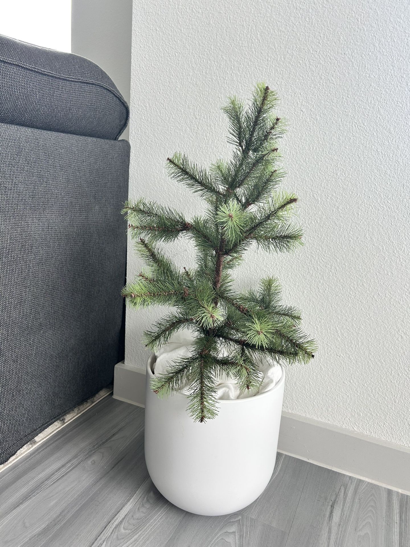 Fake Small Tree/plant