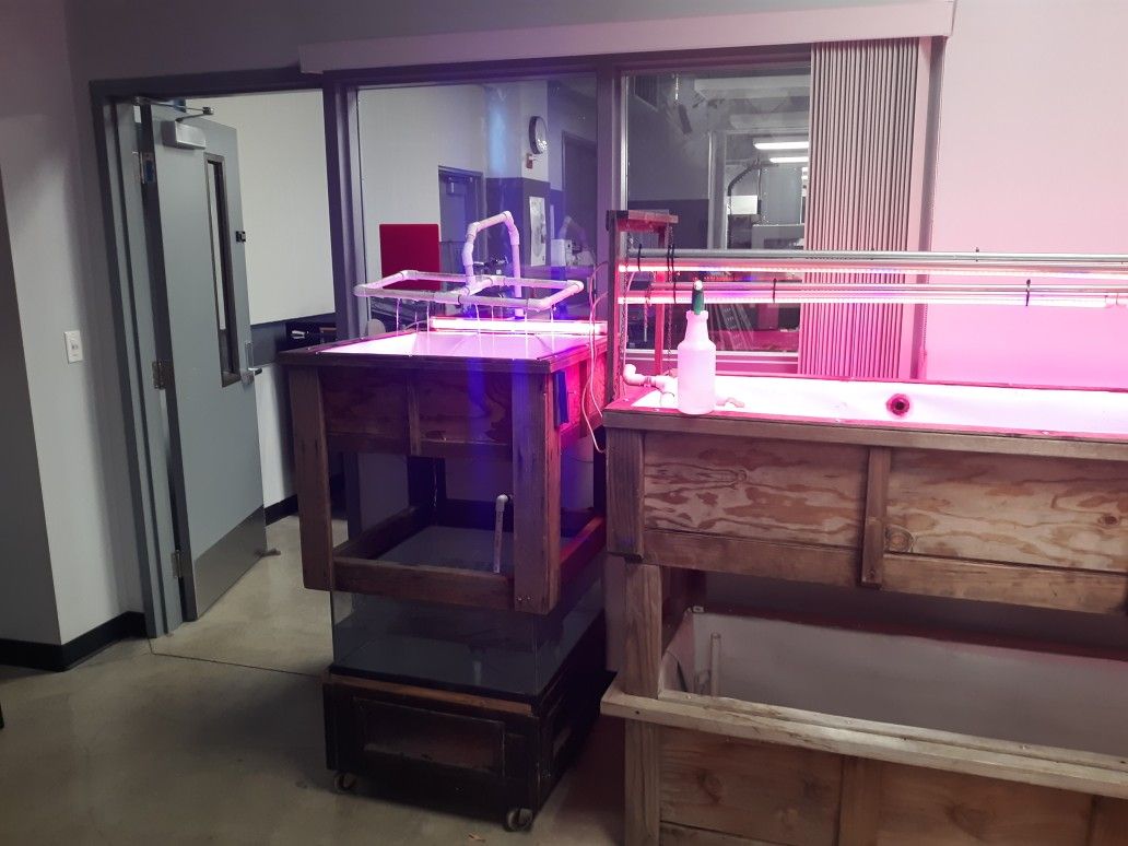 Aquaponics System