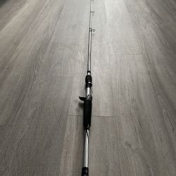 Abu Garcia Fishing Rod 